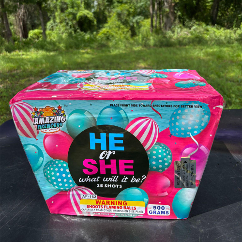 He or She - Night Time Fan Shape - 25 Shots  Including Fan Shaped Mine - Image 2